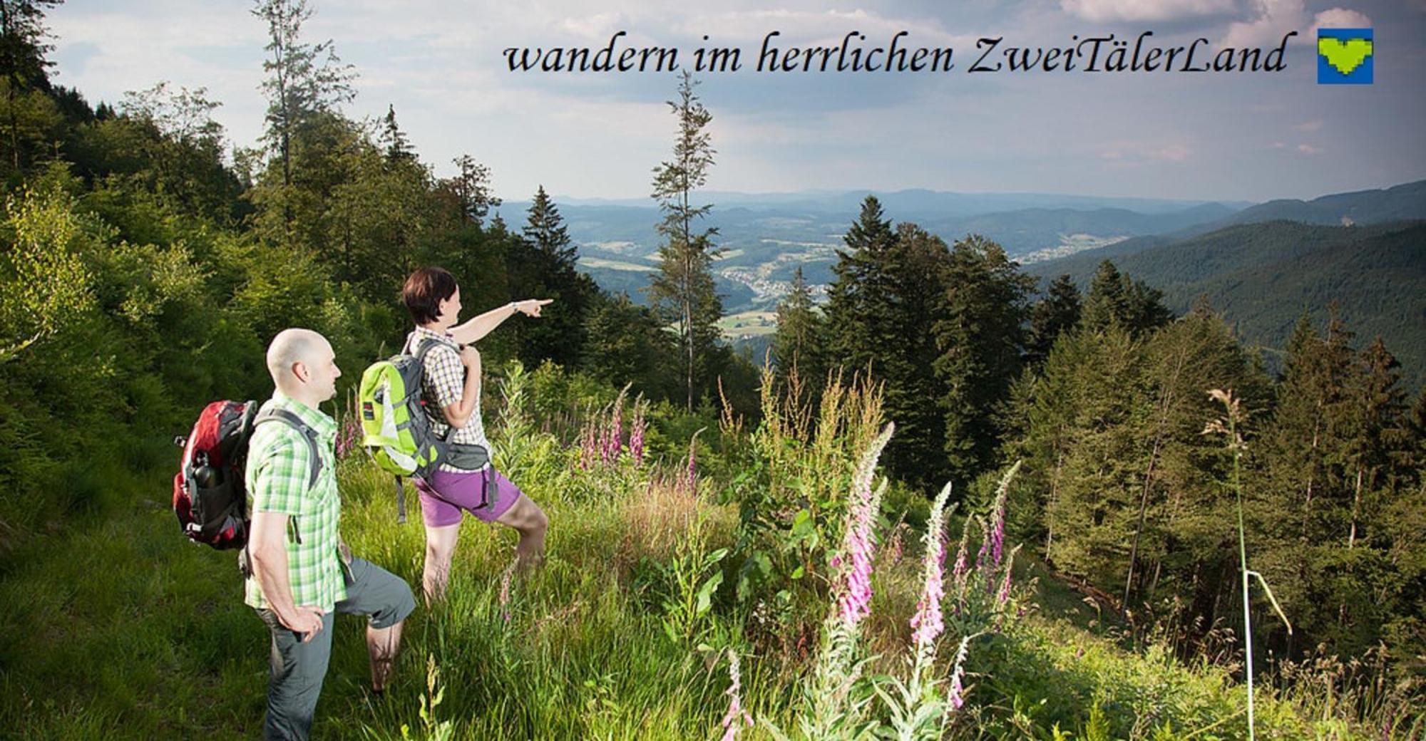 Hernis-Hoefle Elzach Exterior photo